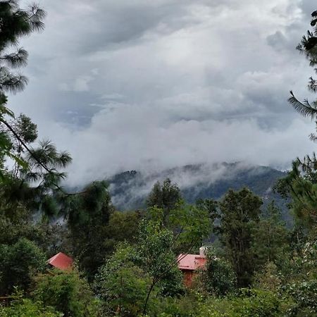 Cabana En El Bosque De San Jose Del Pacifico Eksteriør bilde