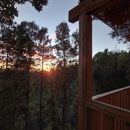 Cabana En El Bosque De San Jose Del Pacifico Villa Eksteriør bilde