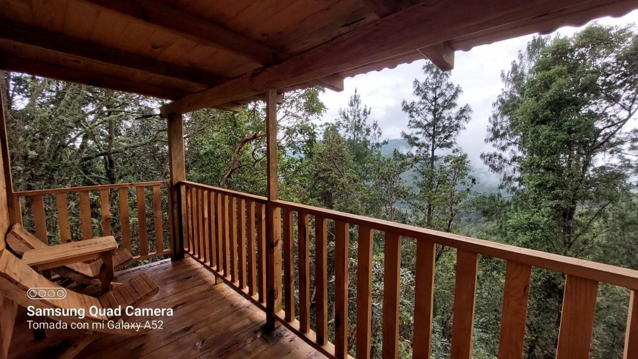 Cabana En El Bosque De San Jose Del Pacifico Villa Eksteriør bilde