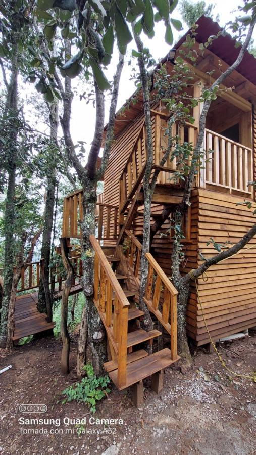 Cabana En El Bosque De San Jose Del Pacifico Villa Eksteriør bilde