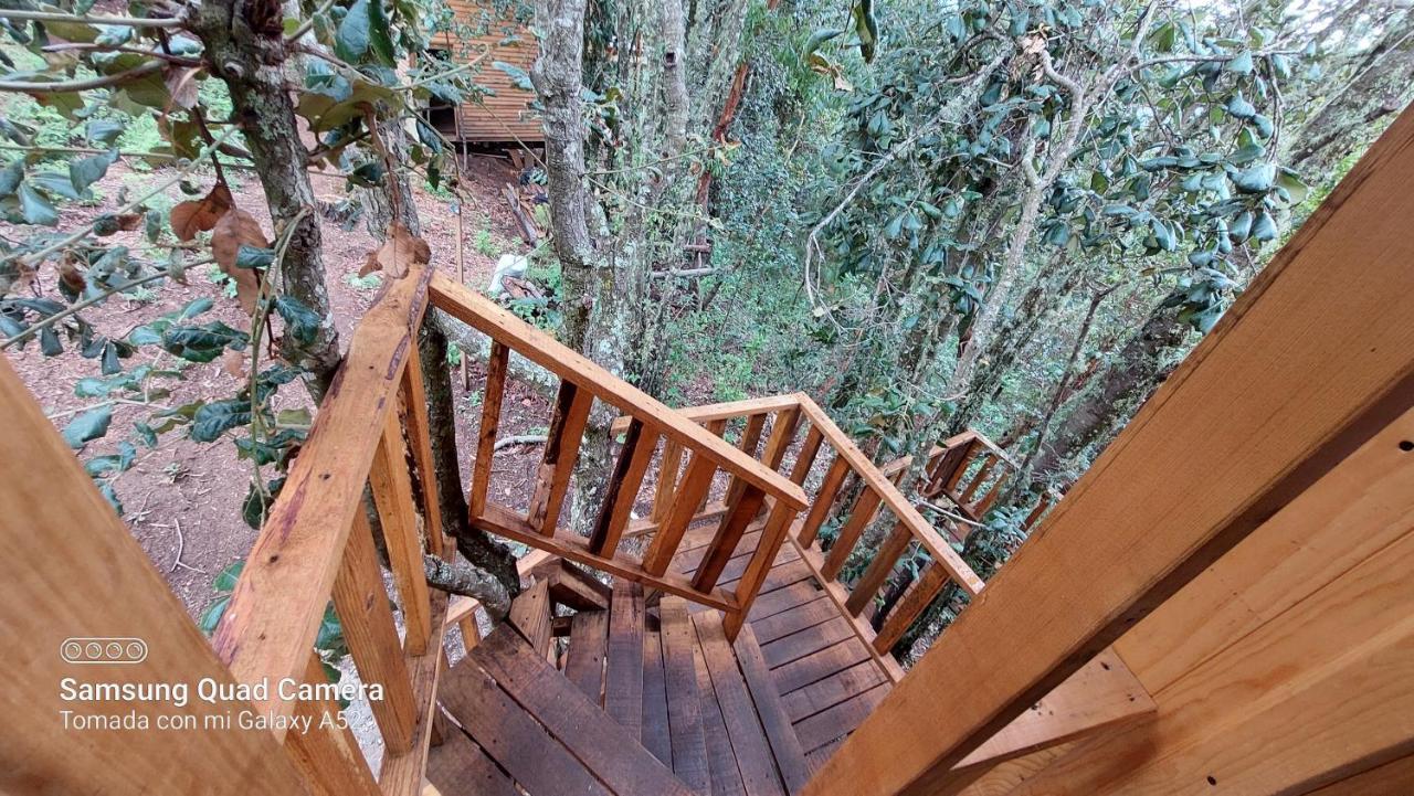 Cabana En El Bosque De San Jose Del Pacifico Villa Eksteriør bilde