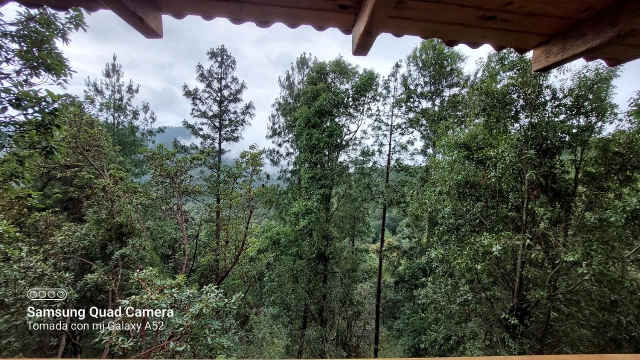 Cabana En El Bosque De San Jose Del Pacifico Villa Eksteriør bilde