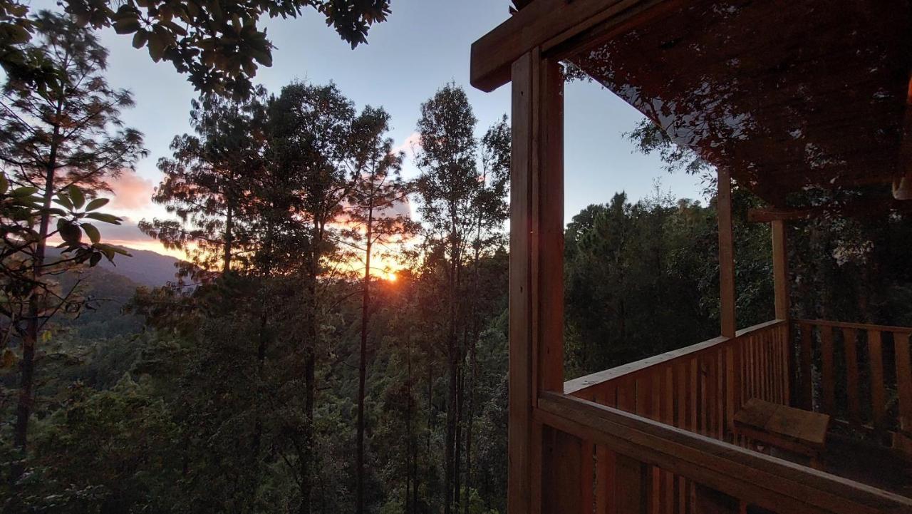 Cabana En El Bosque De San Jose Del Pacifico Villa Eksteriør bilde