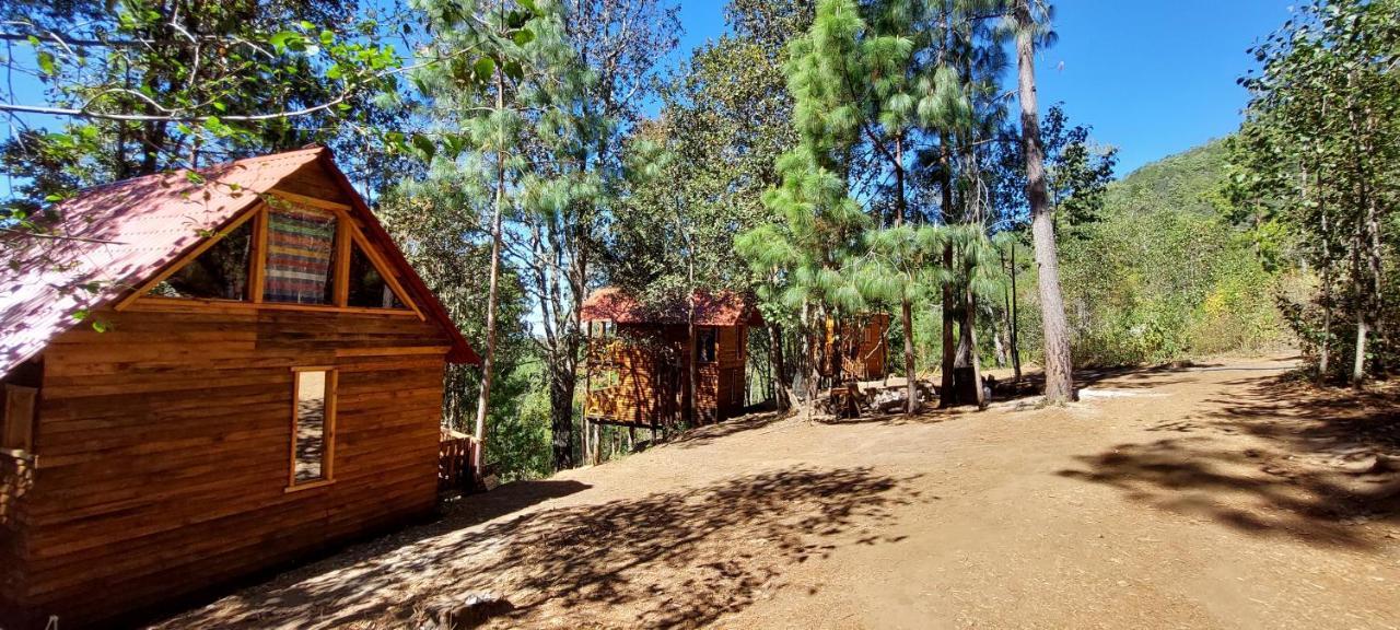 Cabana En El Bosque De San Jose Del Pacifico Villa Eksteriør bilde