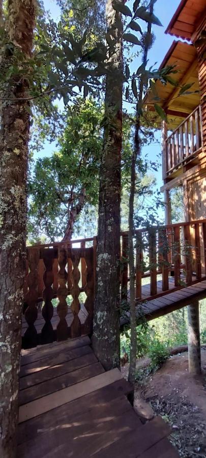 Cabana En El Bosque De San Jose Del Pacifico Villa Eksteriør bilde