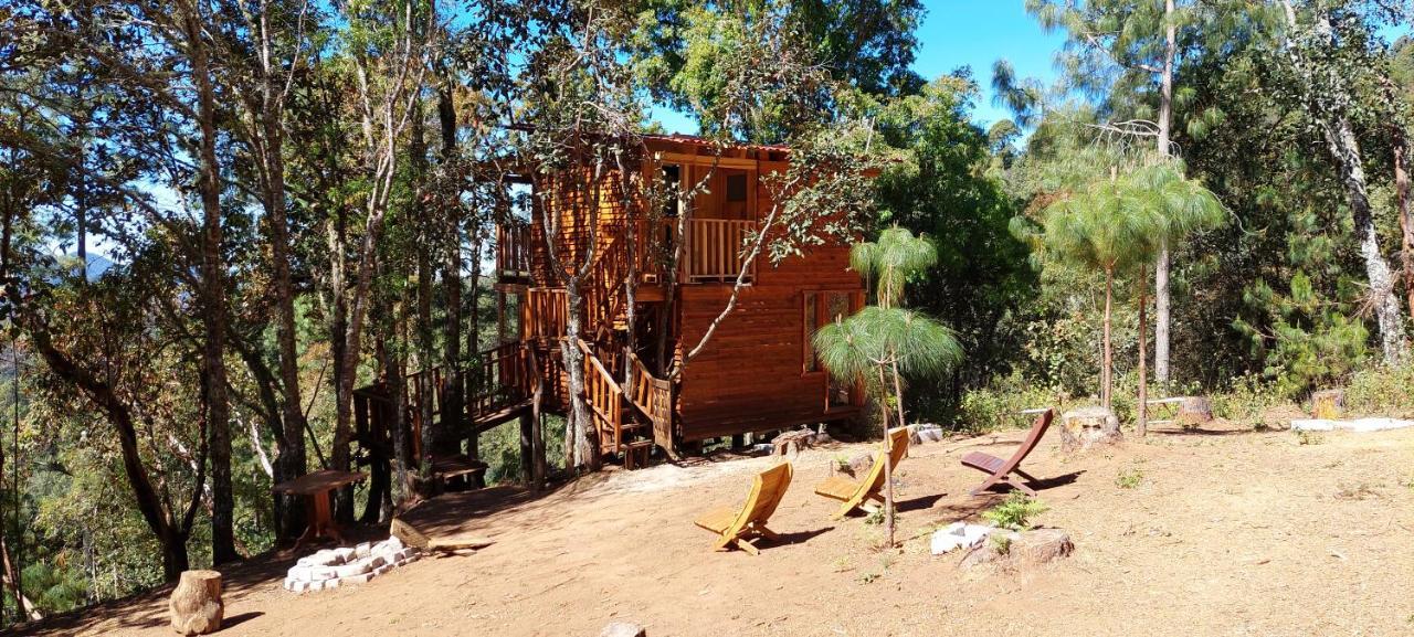 Cabana En El Bosque De San Jose Del Pacifico Eksteriør bilde