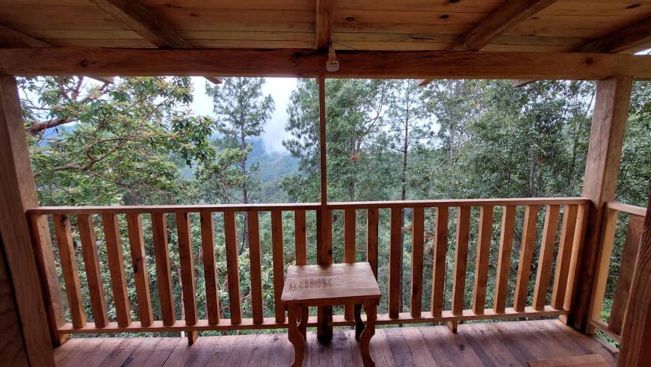 Cabana En El Bosque De San Jose Del Pacifico Villa Eksteriør bilde