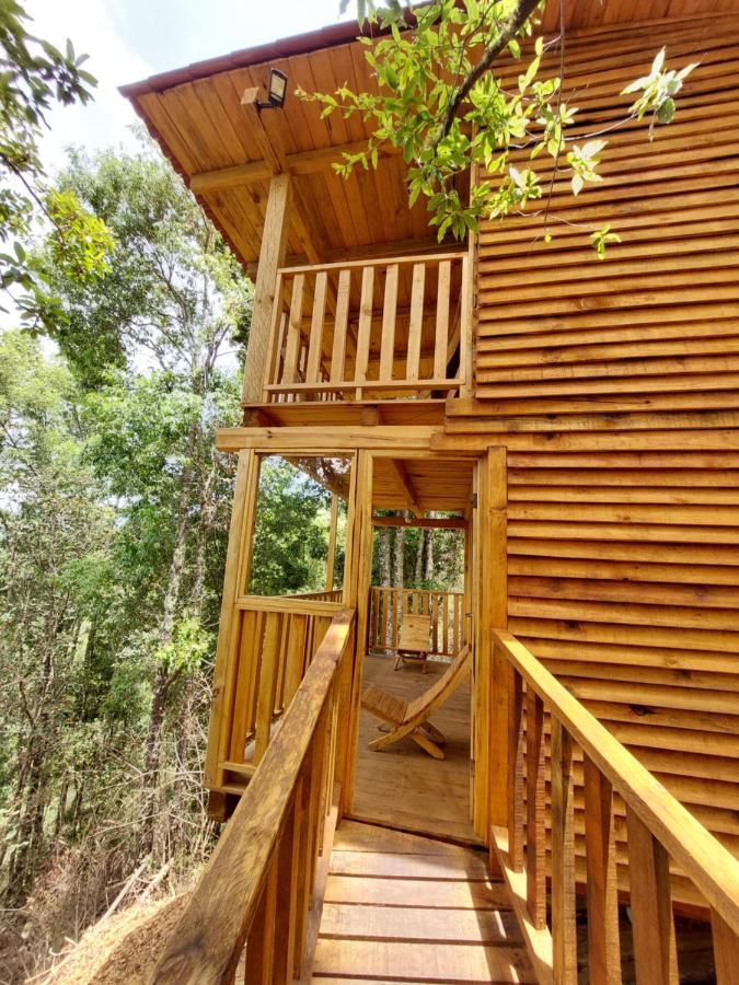 Cabana En El Bosque De San Jose Del Pacifico Eksteriør bilde